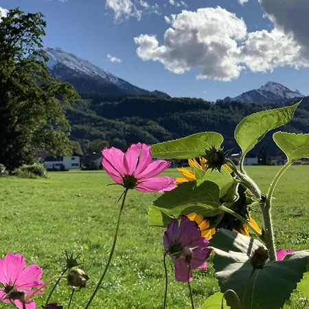 Schellenberg 20 Apartman