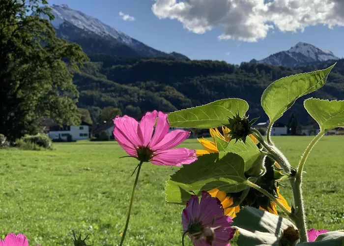 Schellenberg 20 Apartman